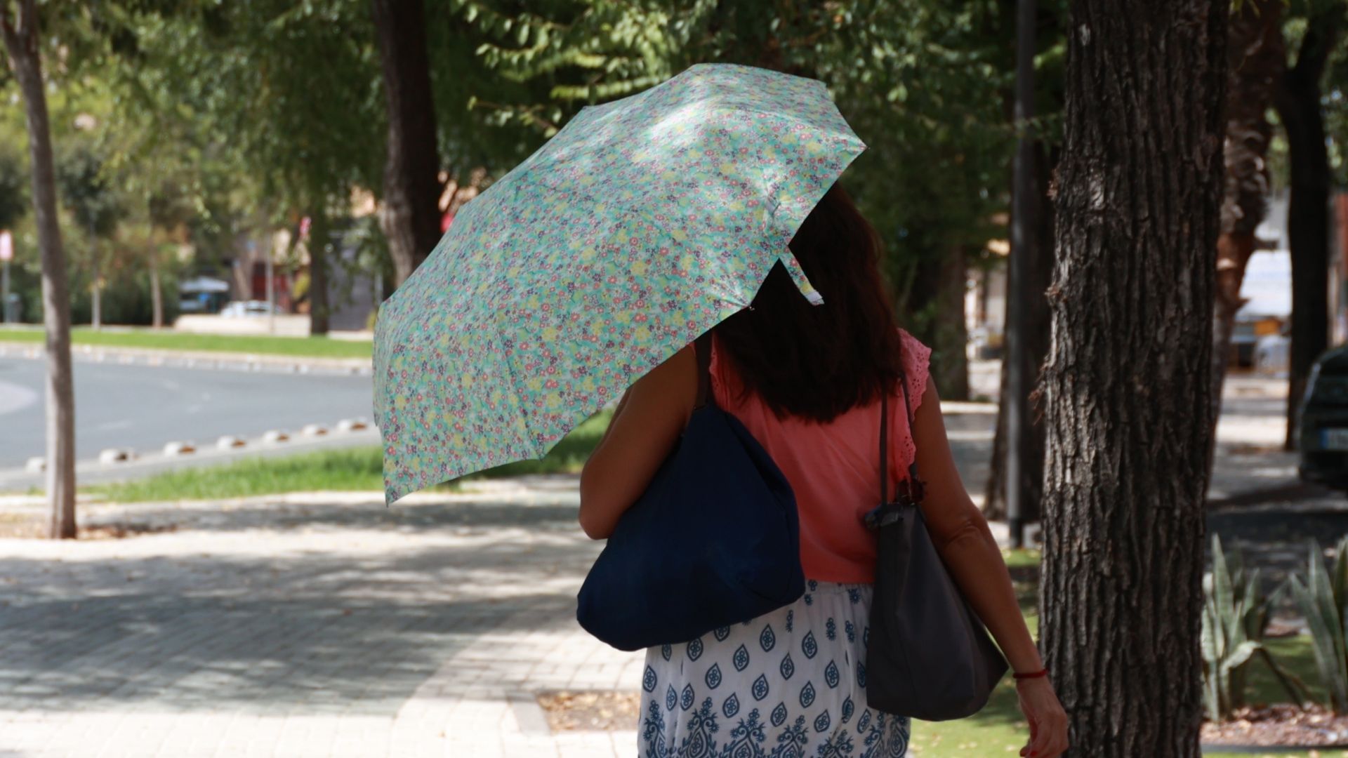 Calor en Sevilla Calor en Sevilla