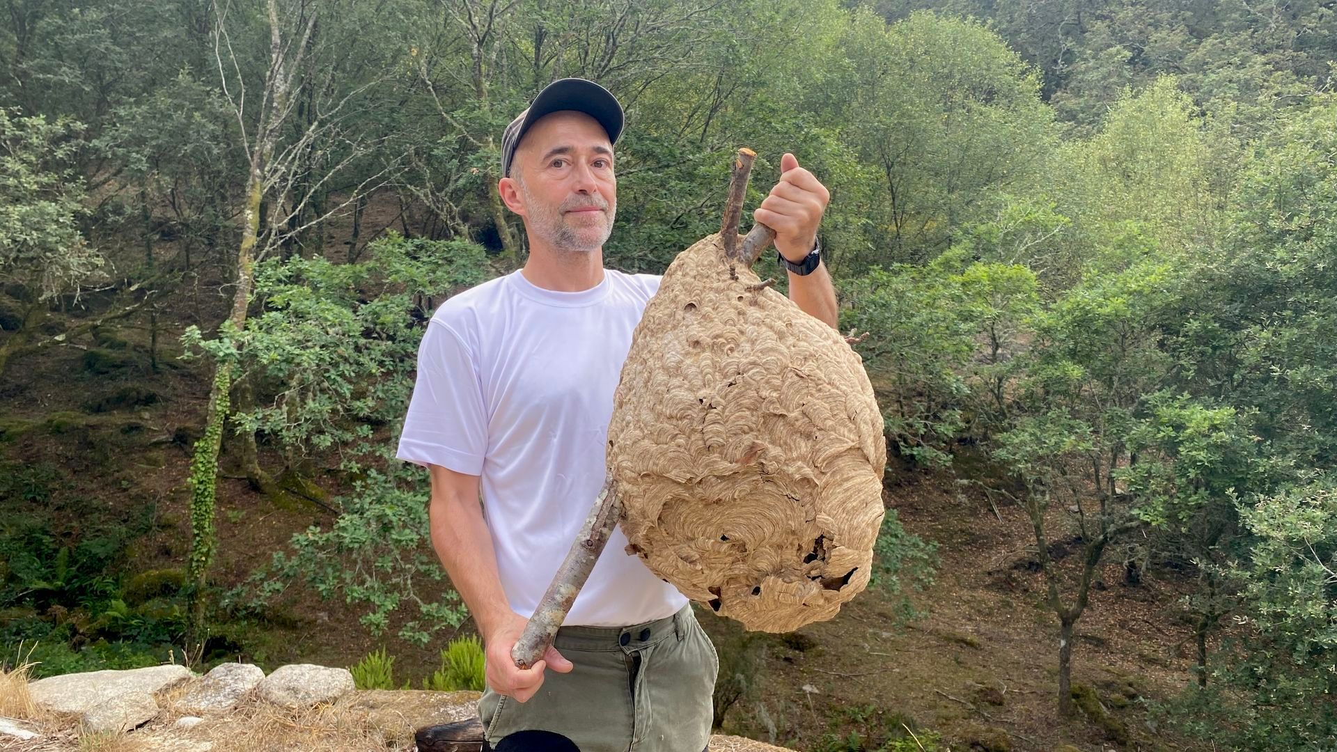 Abel Kavanagh sostiene un nido de avispa asiática o velutina