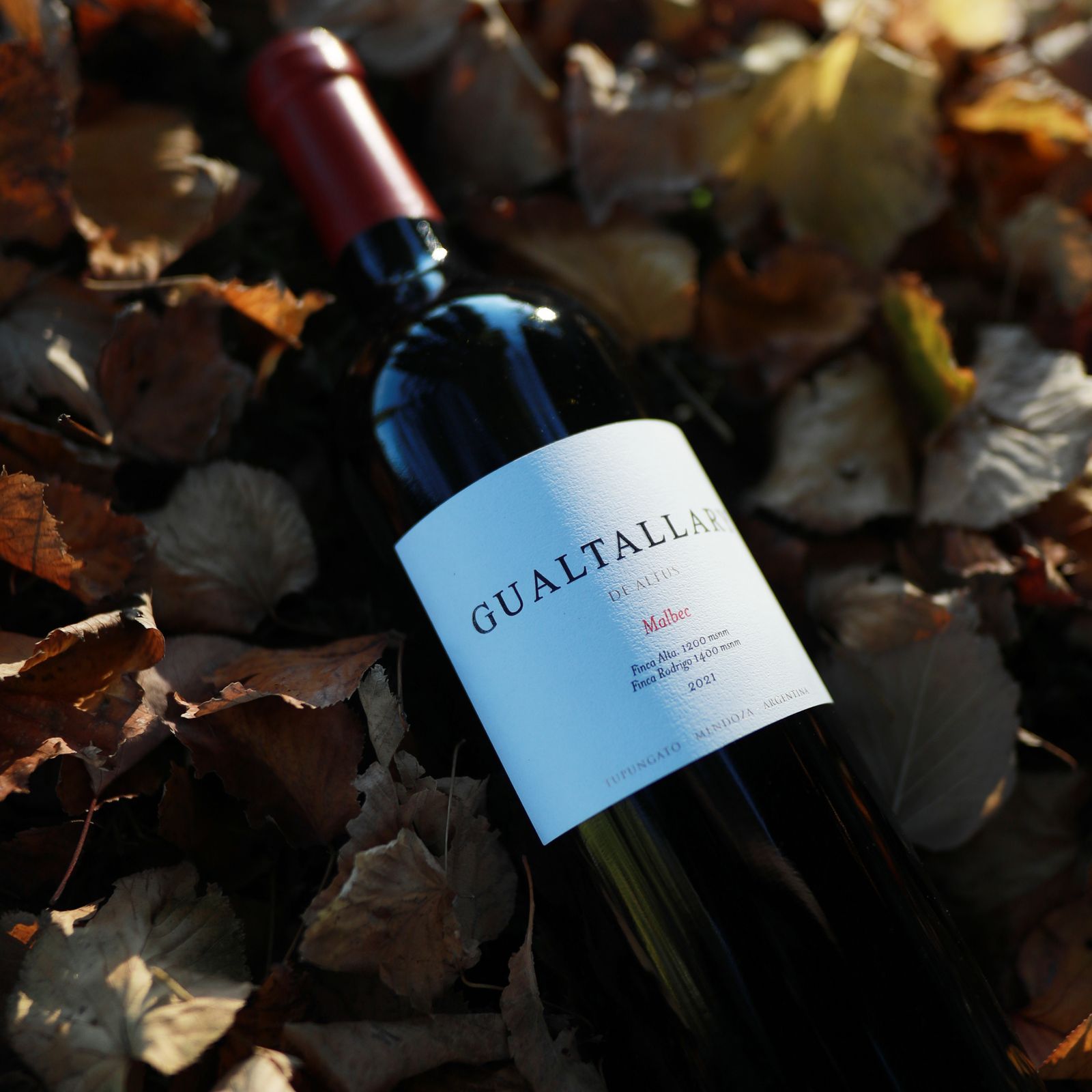 Gualtaray Malbec