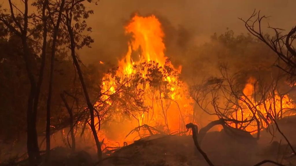 Incendio forestal en Calvos de Randín, Ourense: al menos 350 hectáreas calcinadas