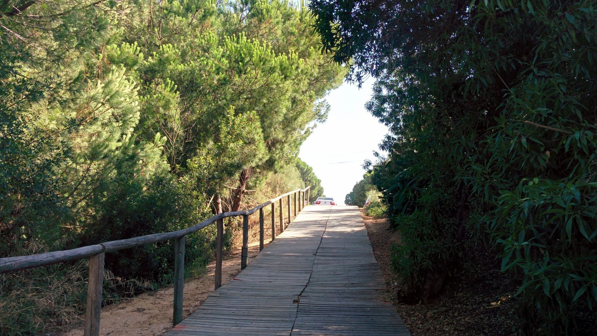 La 'playa paraíso' secreta de Huelva con arena fina que parece una piscina natural y ofrece atardeceres de ensueño ideales para este 'veroño'