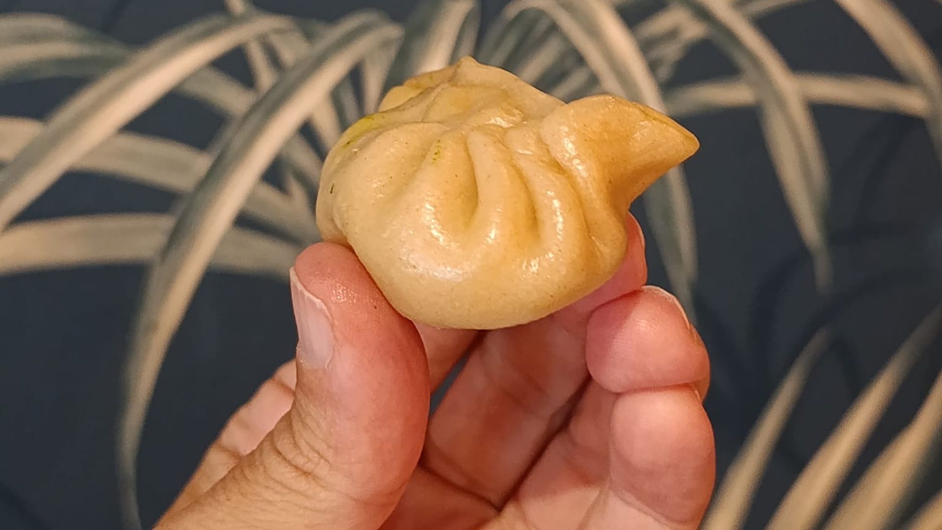 momos1 momos1