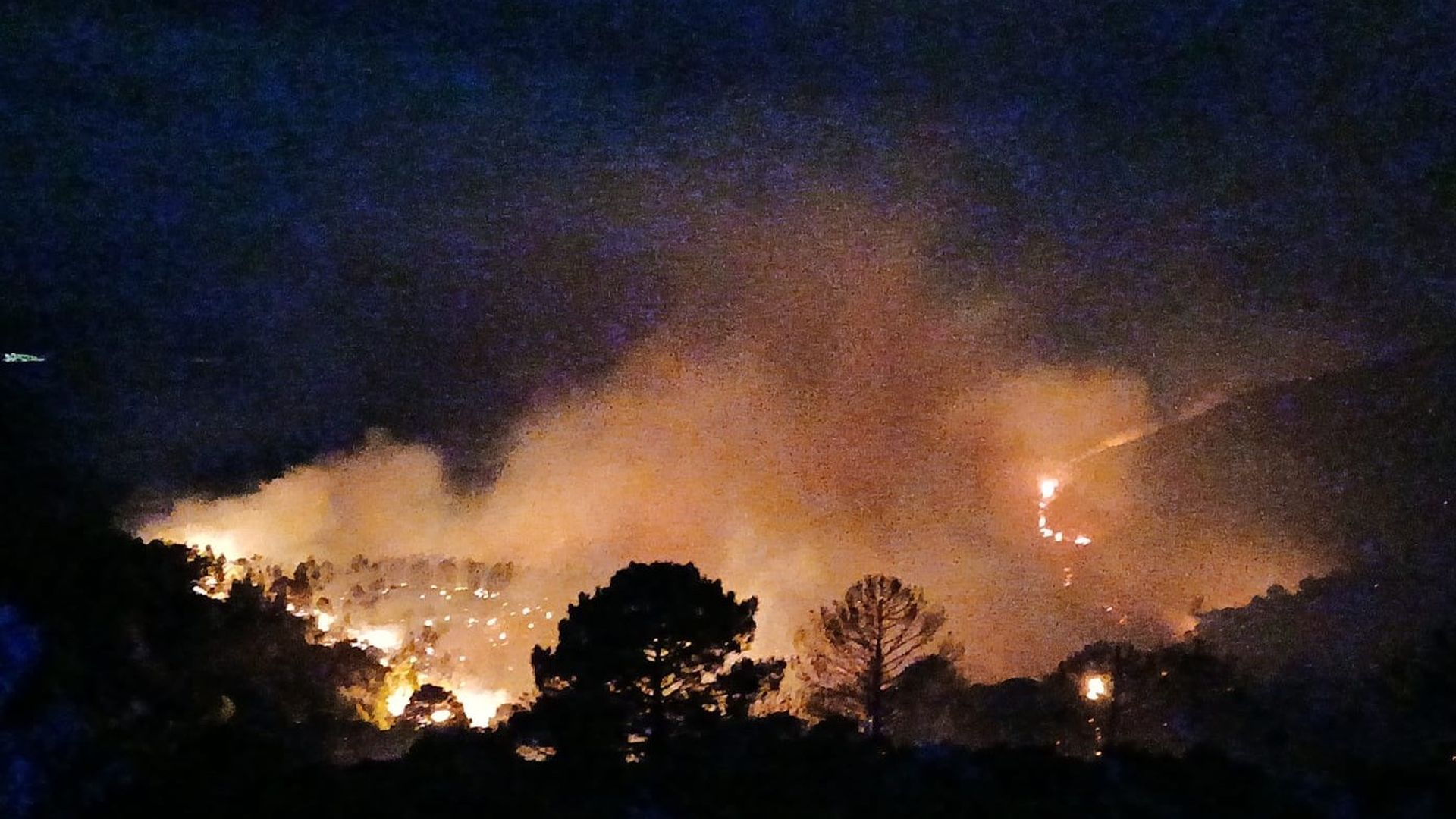 Imágenes del incendio forestal declarado de madrugada en Málaga Imágenes del incendio forestal declarado de madrugada en Málaga