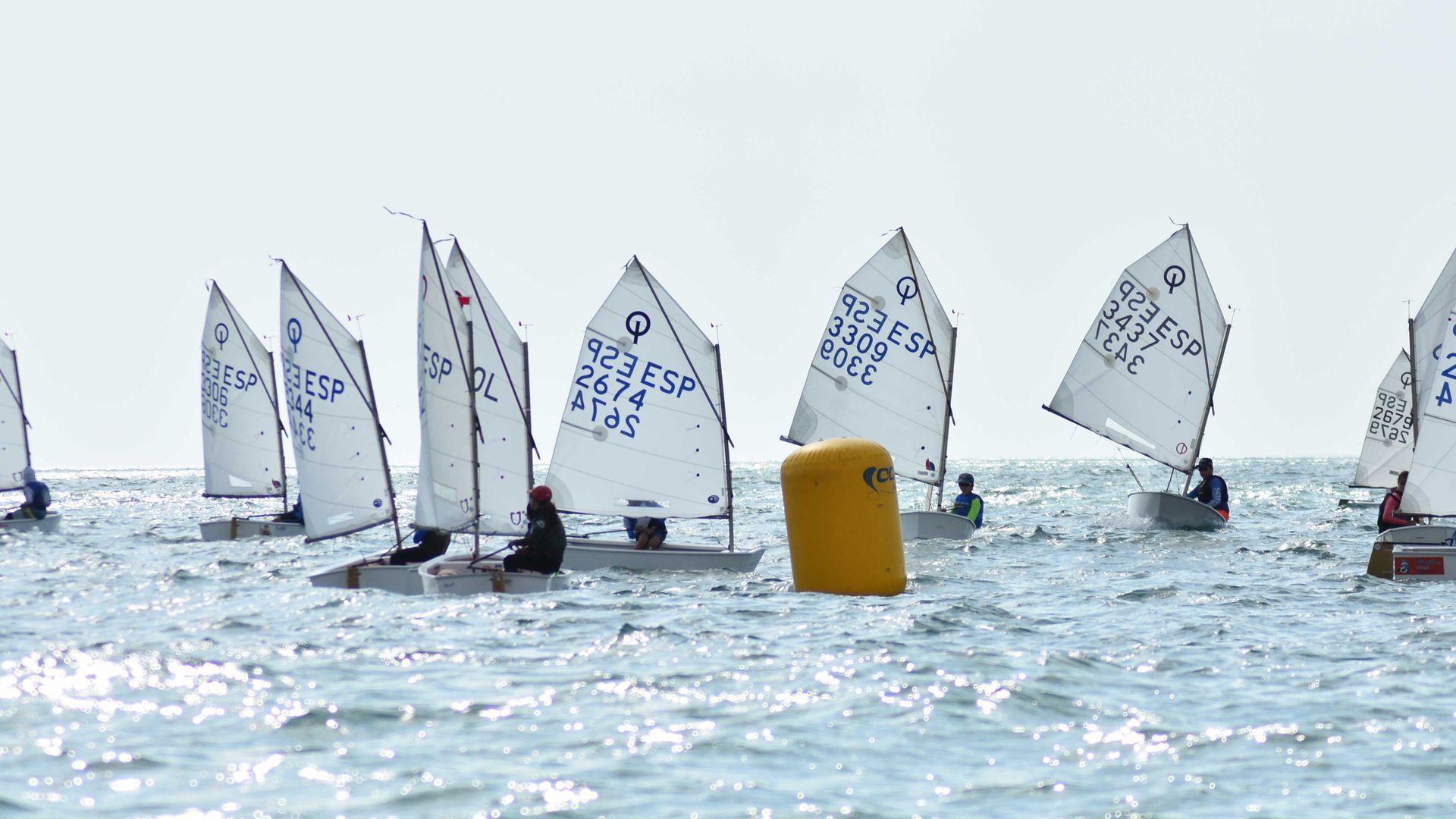 Campeonato de Andalucía de Vela, clase Optimist Campeonato de Andalucía de Vela, clase Optimist