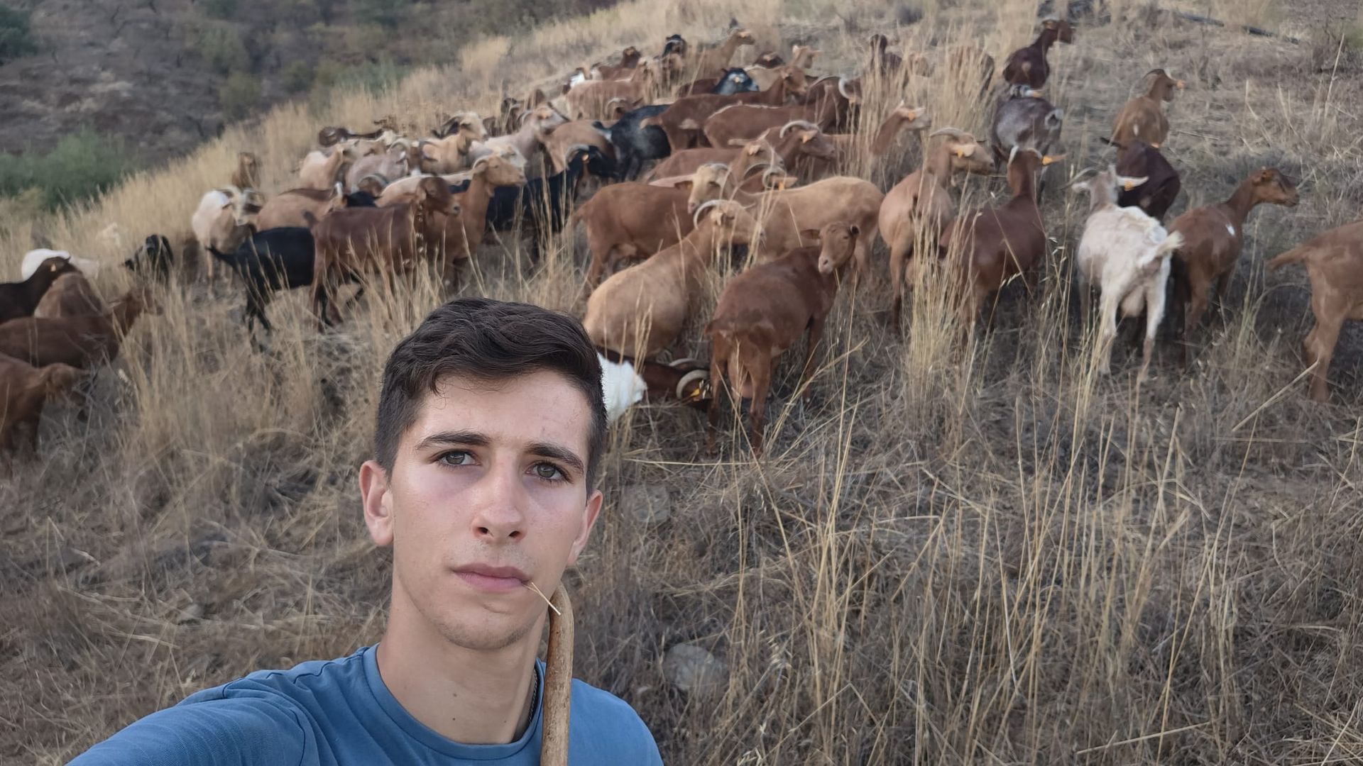 David Tomé se convierte con 19 años en el cabrero más joven de Málaga: "Mi sueño de niño no era ir al parque sino irme con las cabras" David Tomé se convierte con 19 años en el cabrero más joven de Málaga: "Mi sueño de niño no era ir al parque sino irme con las cabras"