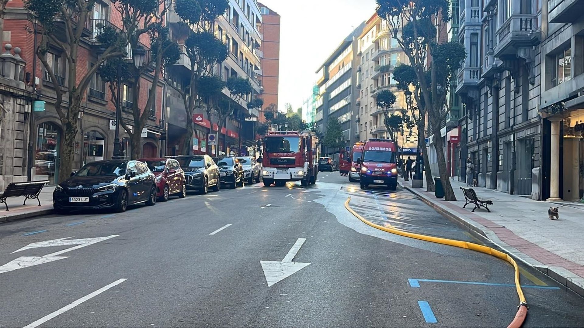 Giro en la investigación del incendio en el barrio de Pumarín, Oviedo: el cadáver hallado medio carbonizado es de una mujer Giro en la investigación del incendio en el barrio de Pumarín, Oviedo: el cadáver hallado medio carbonizado es de una mujer