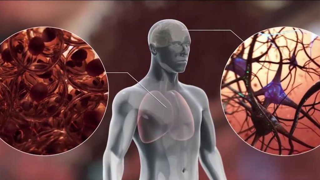 Unos investigadores españoles descubren cómo se podría extinguir el cáncer: Hay una fase donde las células se apagan"