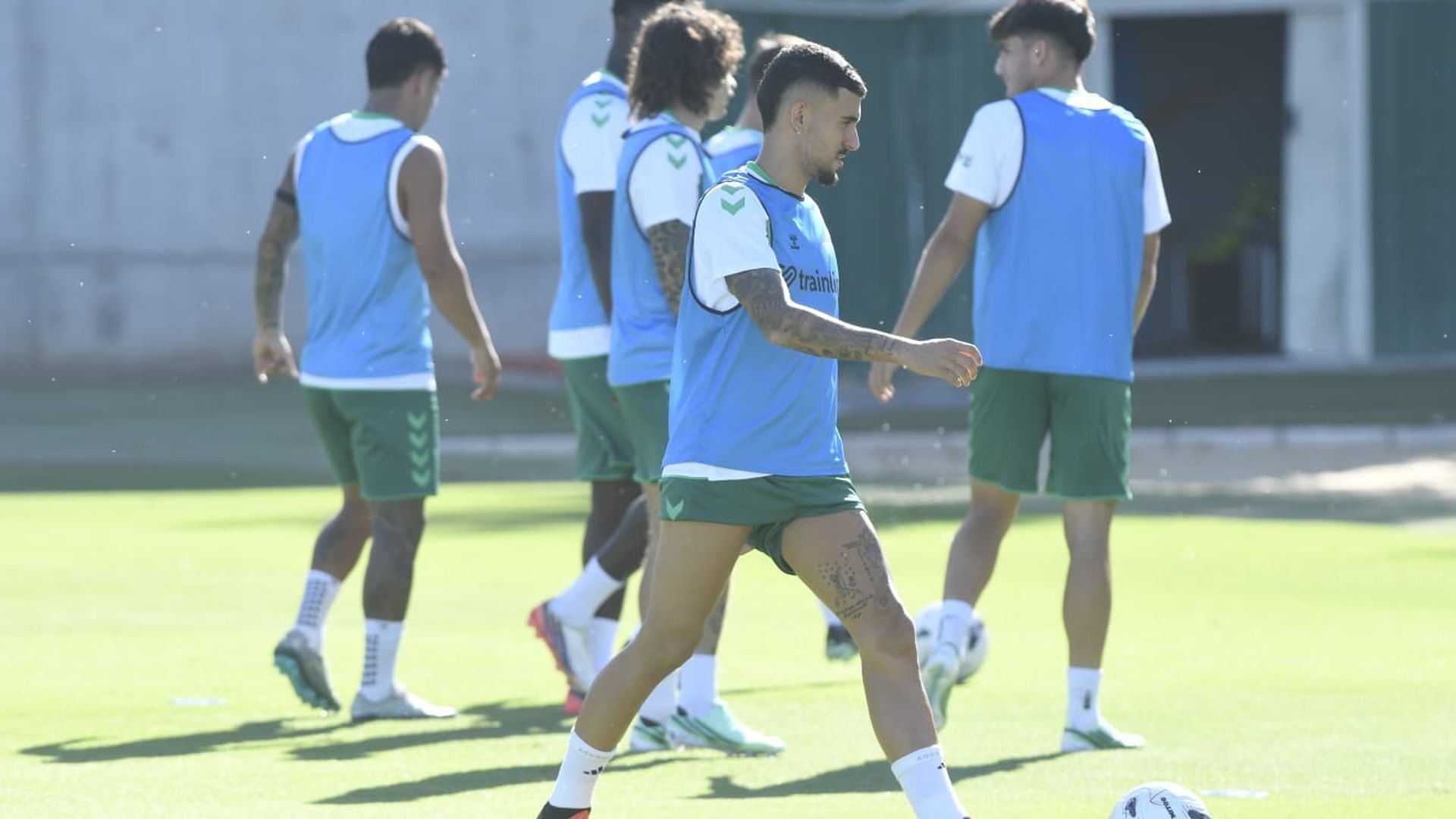 Dani Ceballos, entrenando con el Betis