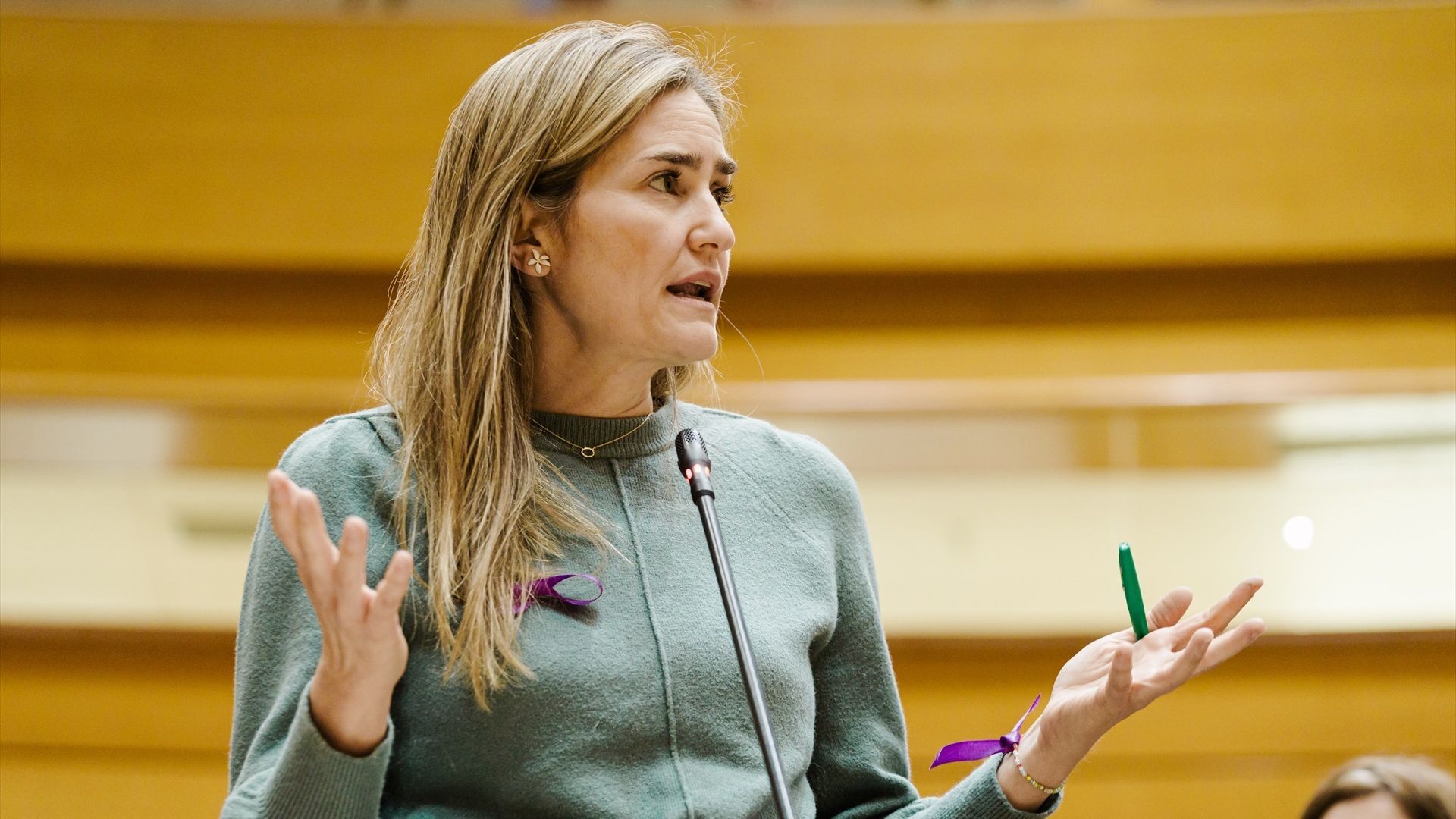 El Gobierno limitará la subida del gas regulado al 15 % y el precio de la bombona de butano para "proteger a los consumidores" El Gobierno limitará la subida del gas regulado al 15 % y el precio de la bombona de butano para "proteger a los consumidores"