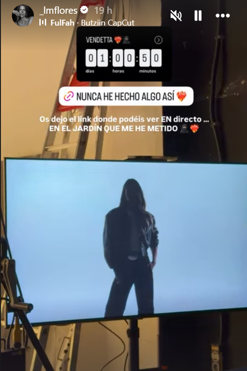 Laura Matamoros anuncia así su proyecto