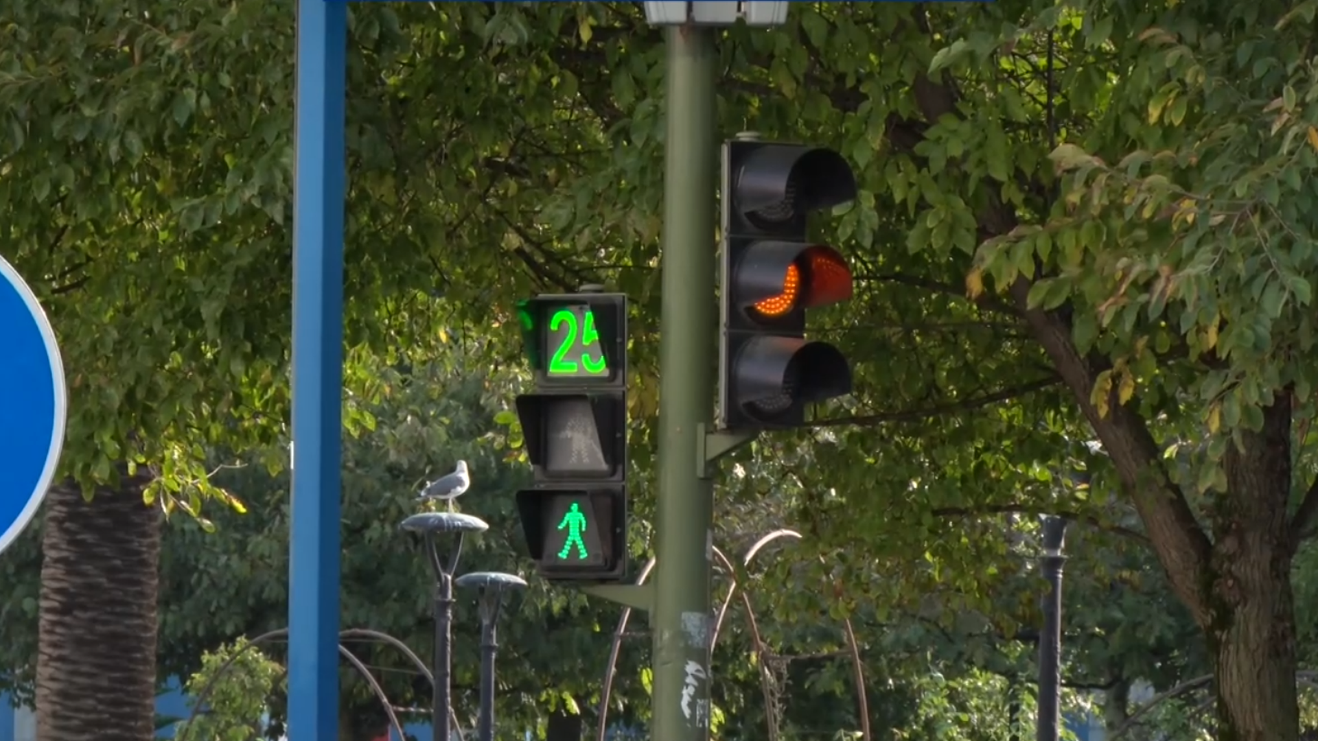 Semáforo en ámbar para los coches y verde para los peatones Semáforo en ámbar para los coches y verde para los peatones