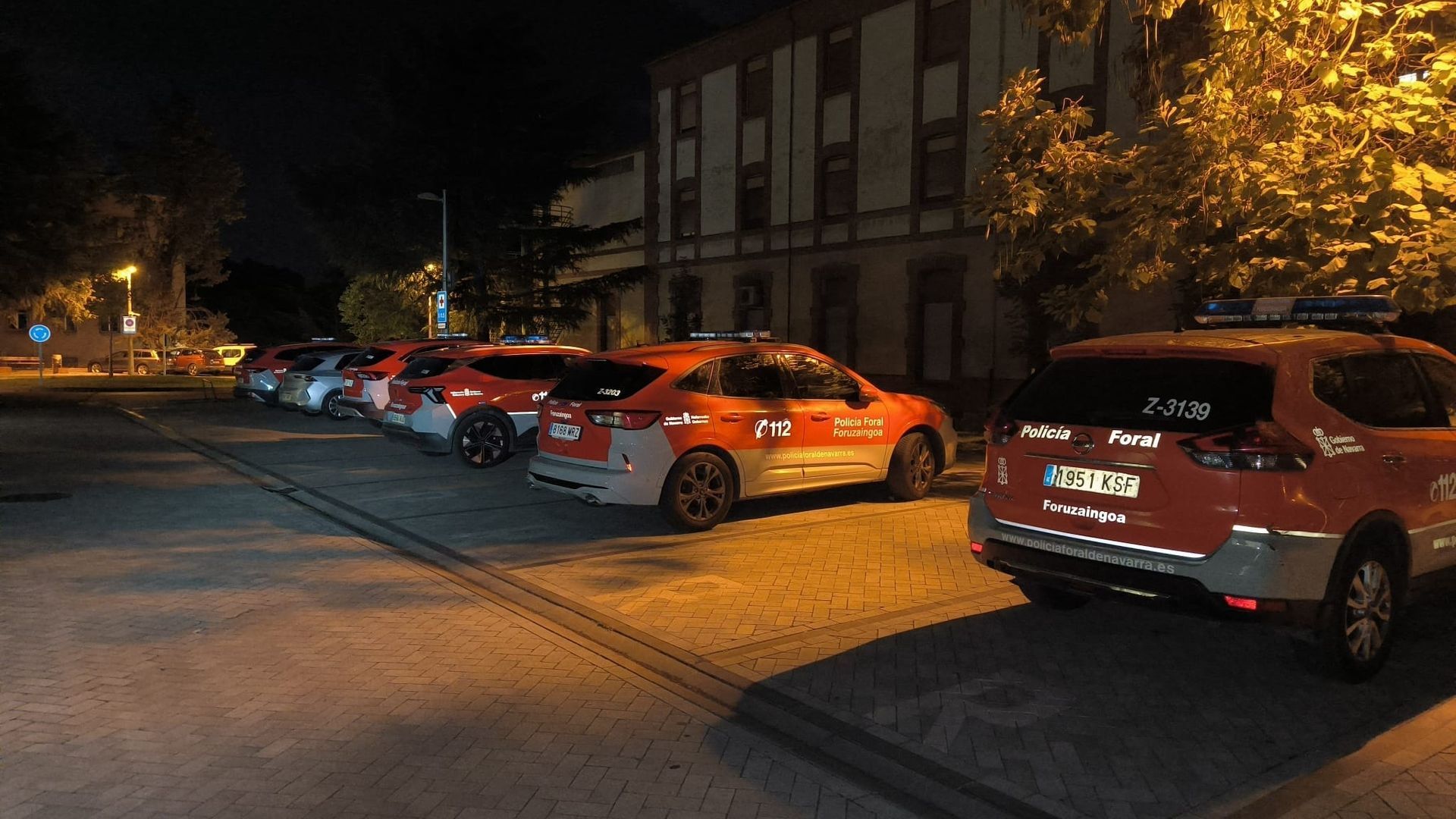 Varios coches de la Policía Foral de Navarra Varios coches de la Policía Foral de Navarra