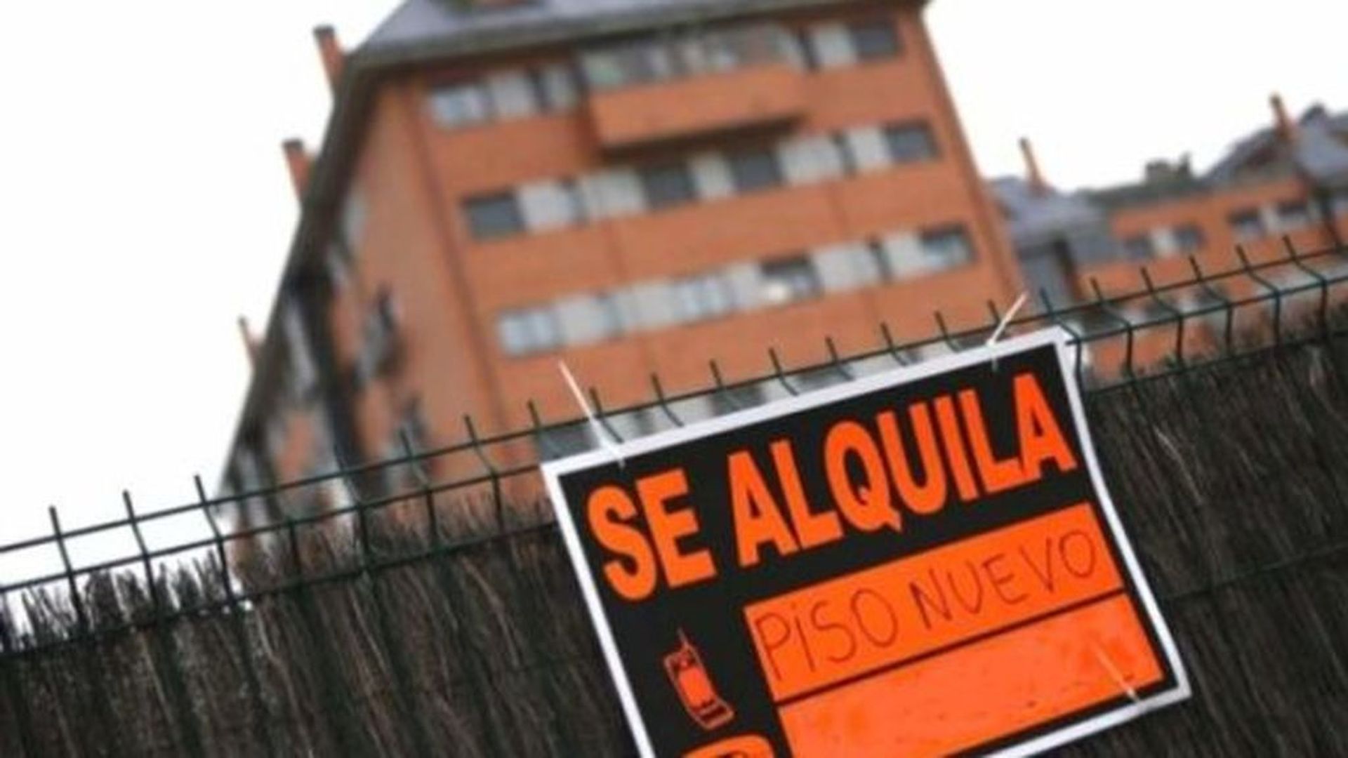 alquila alquila
