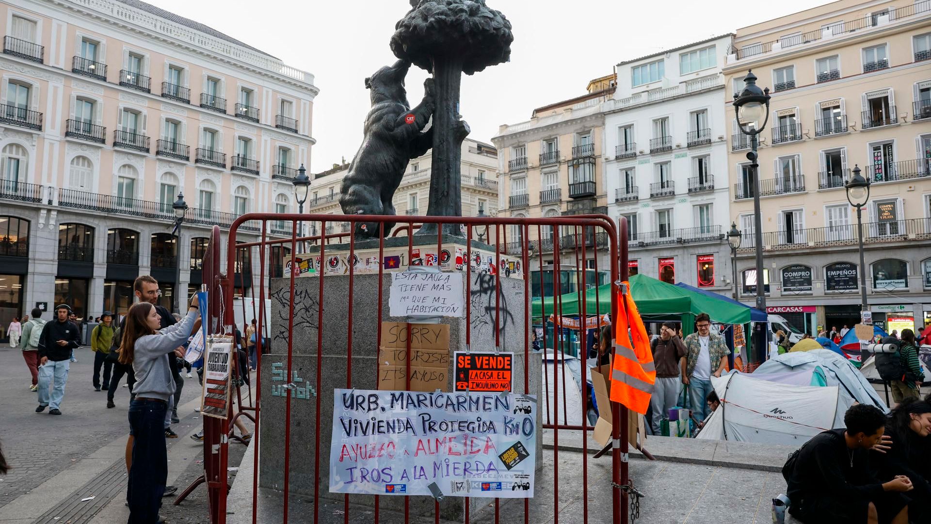 El oso y el madroño este jueves. El oso y el madroño este jueves.