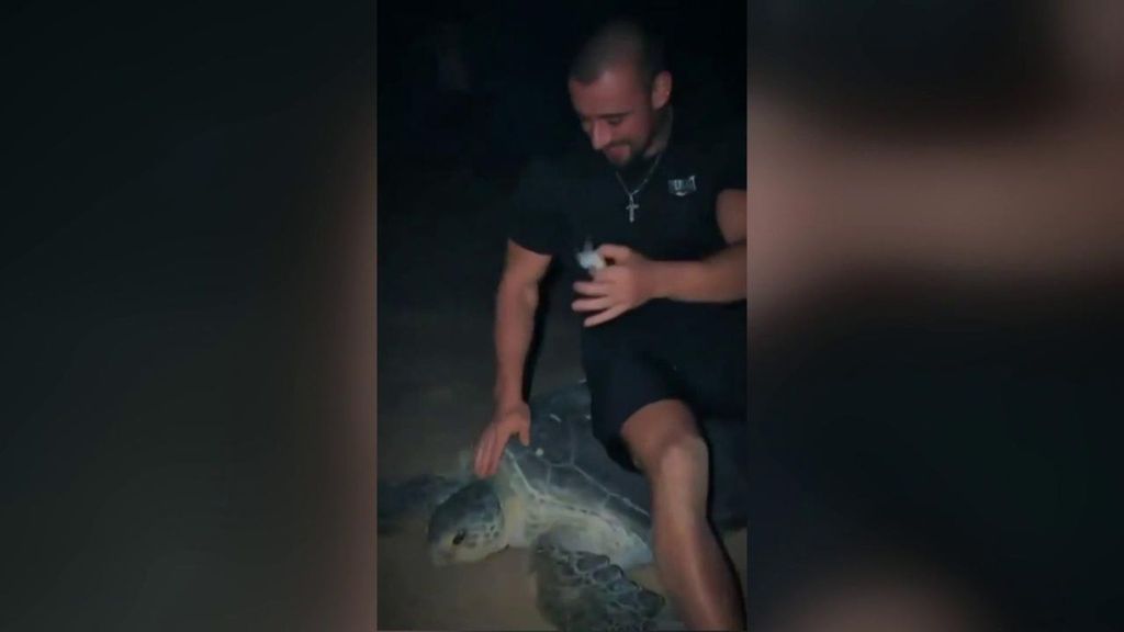 Indignación tras un vídeo en el que un influercer aparece sentado encima de una tortuga en Omán