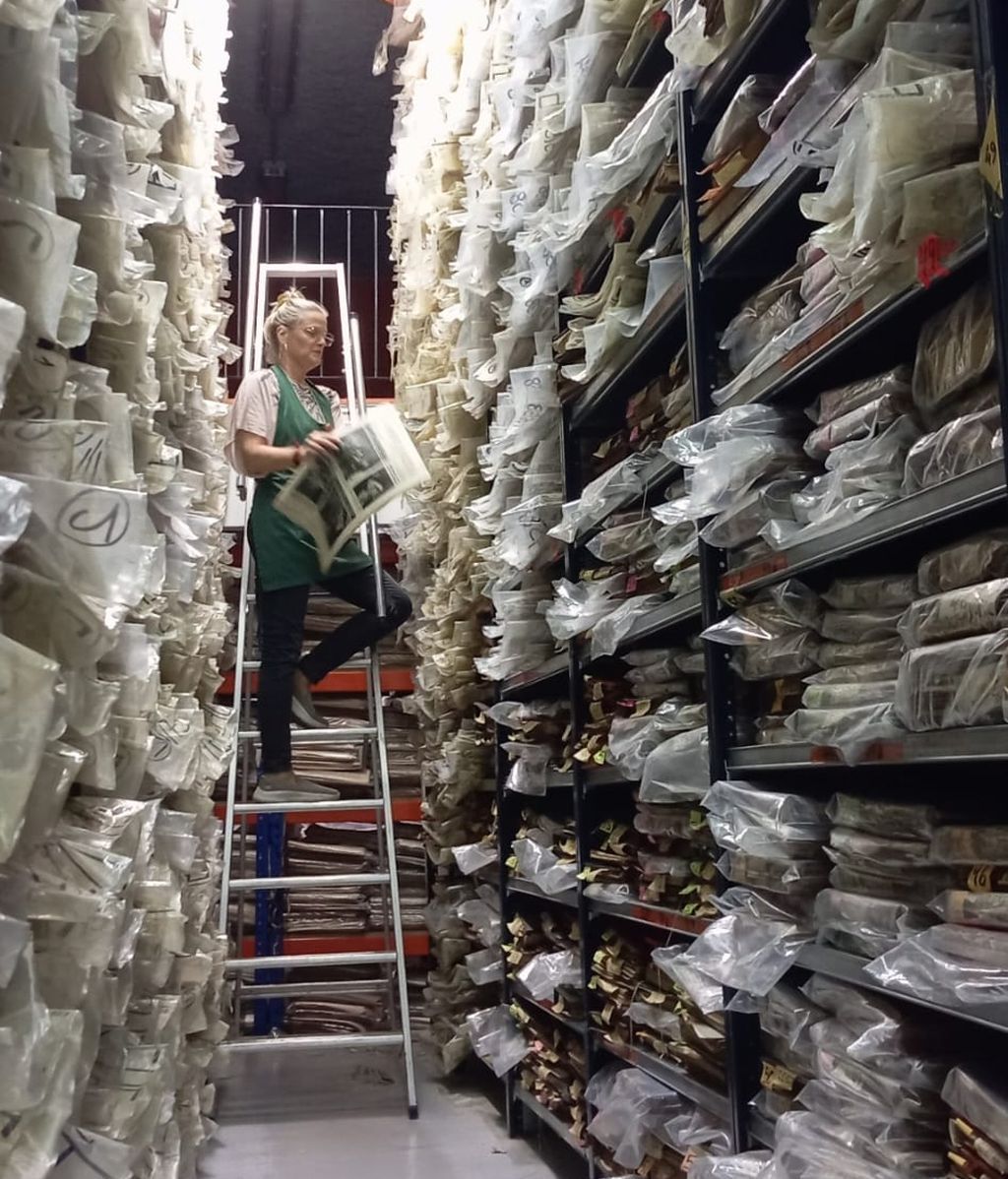 Los 300.000 ejemplares se guardan protegidos en un almacén