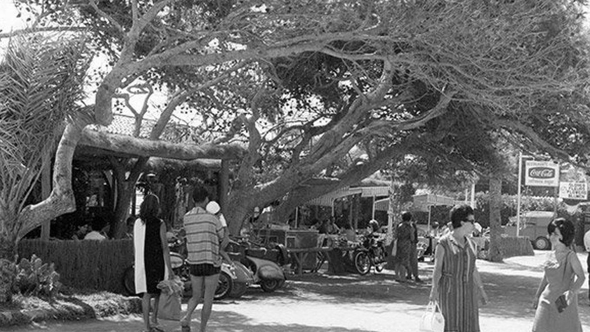 El restaurante Pic Nic en 1956