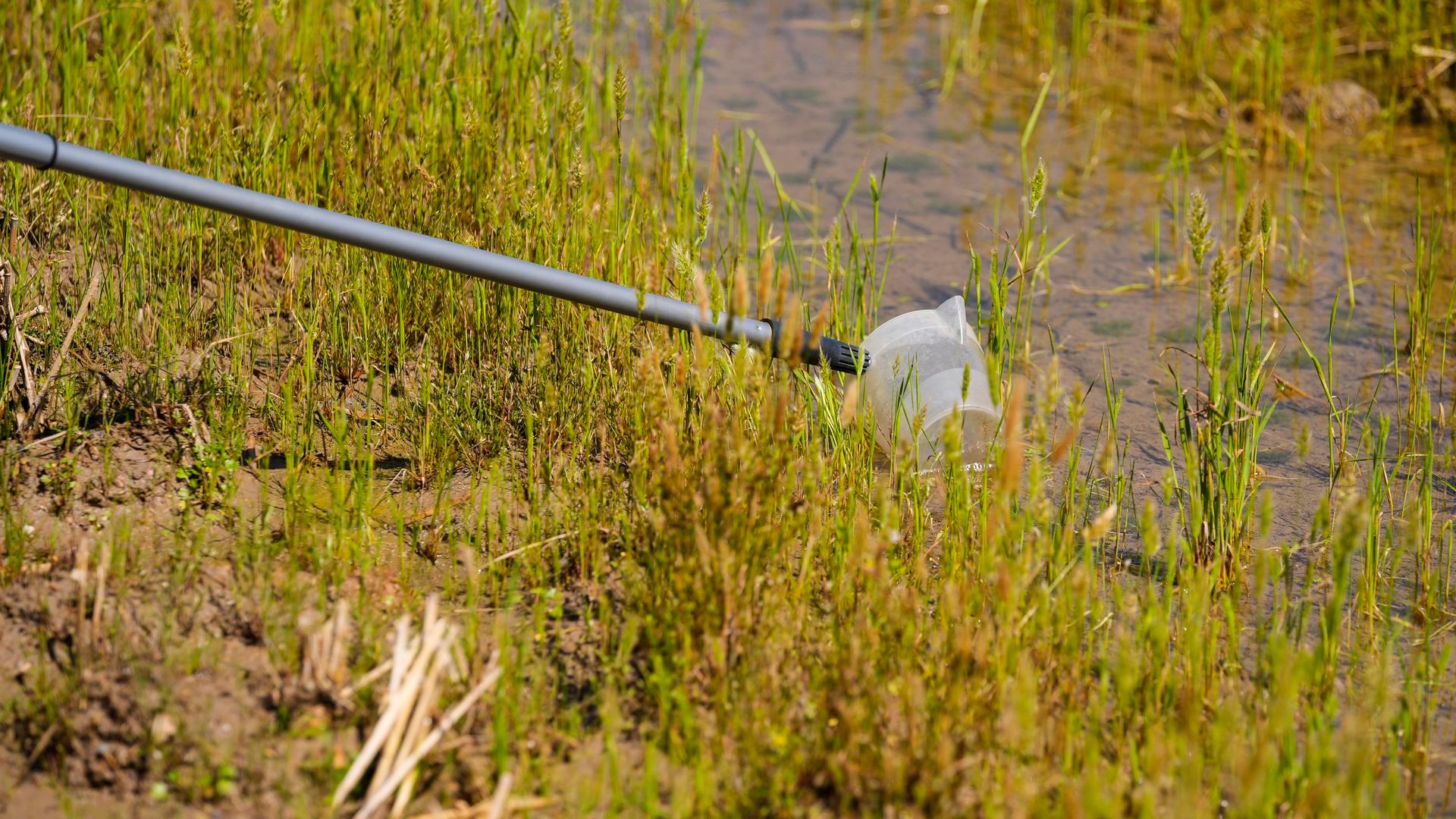 Fumigación por virus del nilo en La Puebla del Río, Sevilla Fumigación por virus del nilo en La Puebla del Río, Sevilla