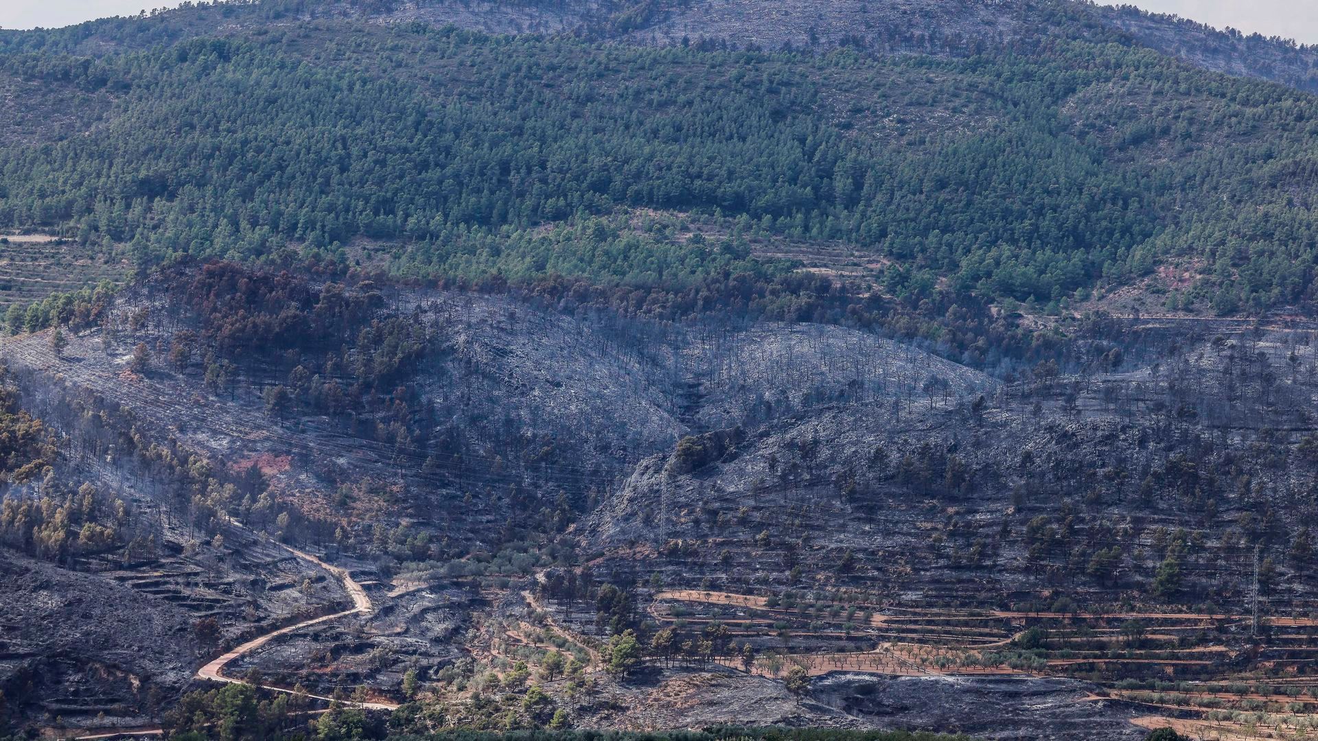 Incendio de Tuéjar Incendio de Tuéjar