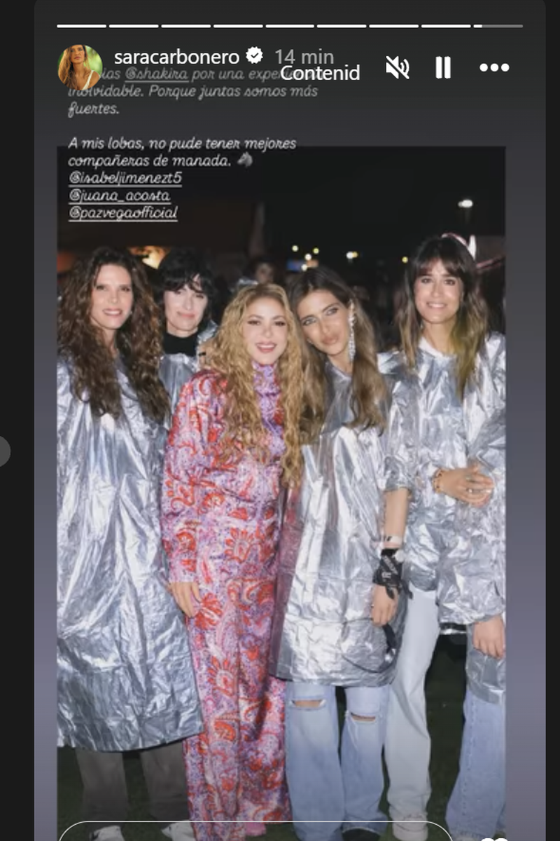 Todas las 'lobas' de Shakira en su último concierto