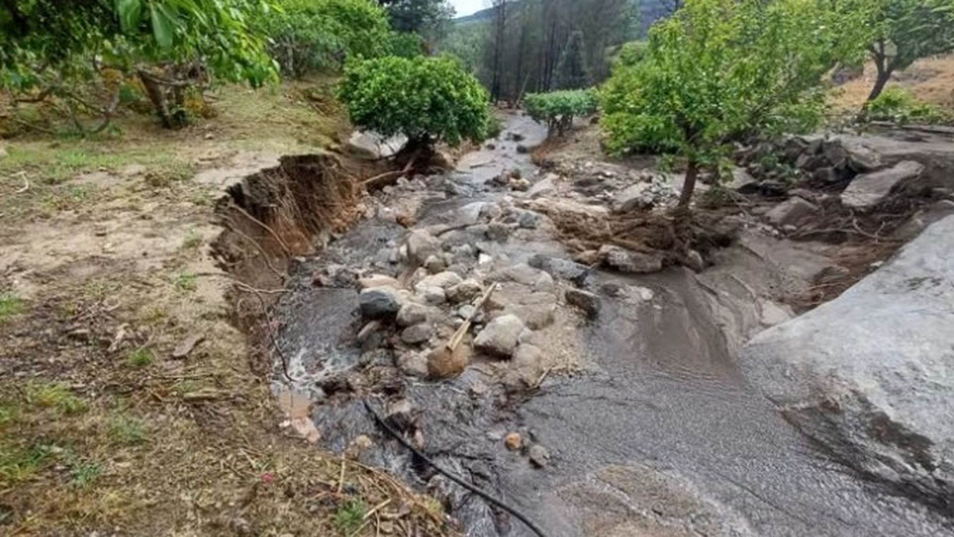 Daños causados por las lluvias en una zona afectada por un incendio el pasado año en Mombeltrán (Ávila). Daños causados por las lluvias en una zona afectada por un incendio el pasado año en Mombeltrán (Ávila).