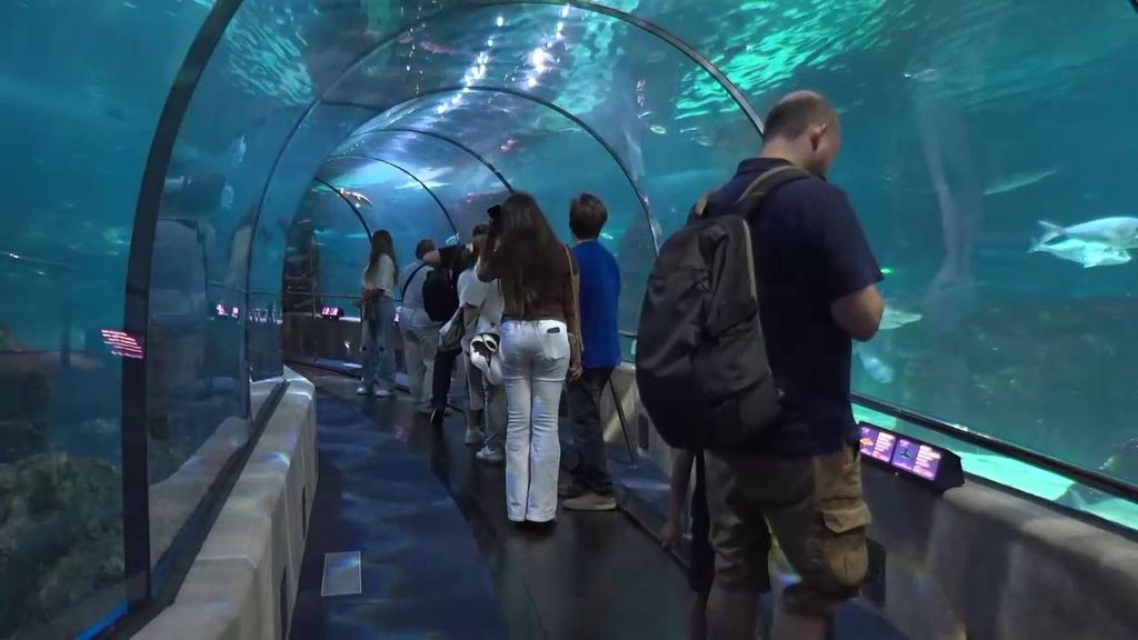El Aquarium de Barcelona abre sus puertas a los rincones ocultos de sus instalaciones