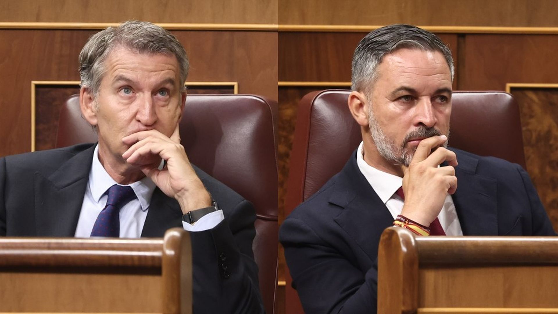 El presidente del Partido Popular, Alberto Núñez Feijóo, y Santiago Abascal, líder de Vox El presidente del Partido Popular, Alberto Núñez Feijóo, y Santiago Abascal, líder de Vox