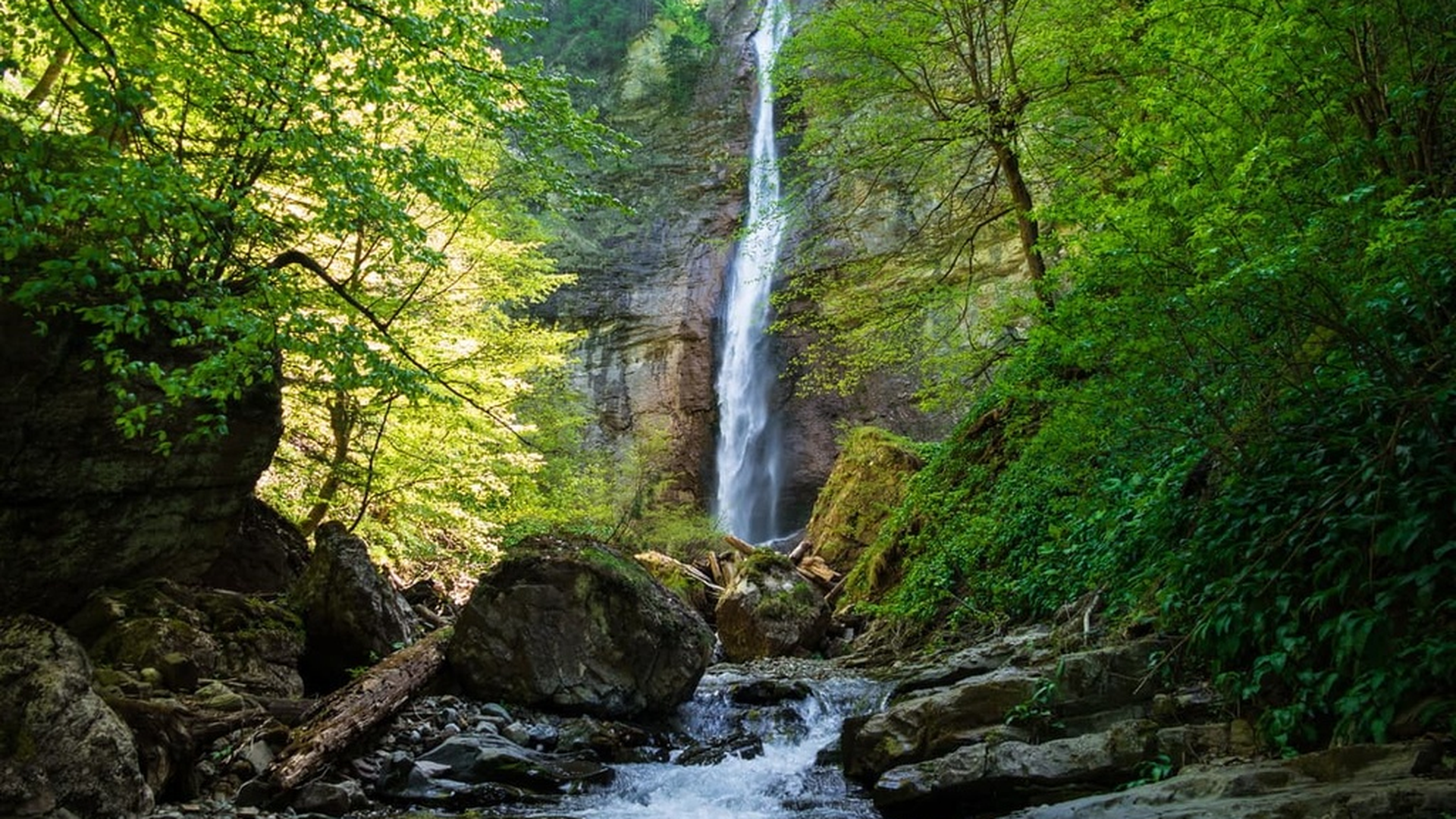 Hayedo de Otzarreta, País Vasco