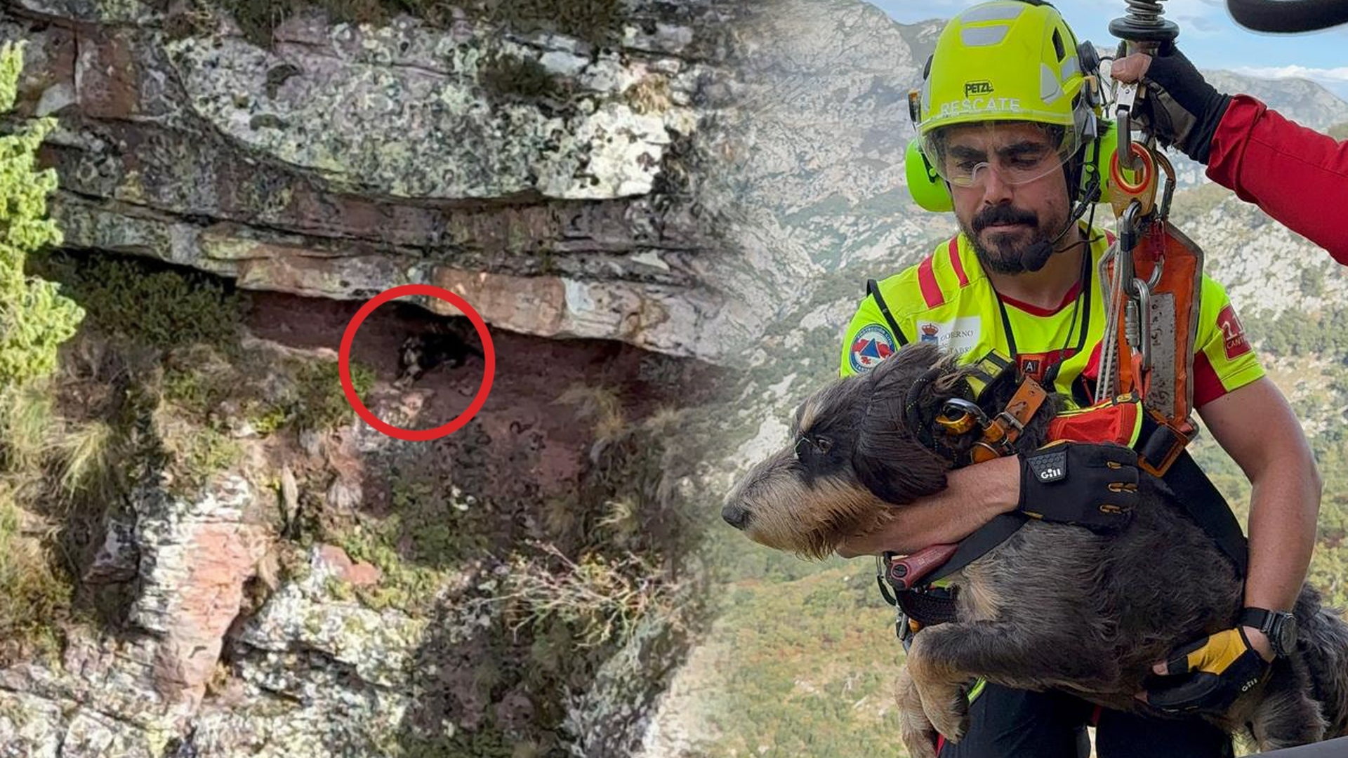 Rescate a un perro en Cantabria Rescate a un perro en Cantabria