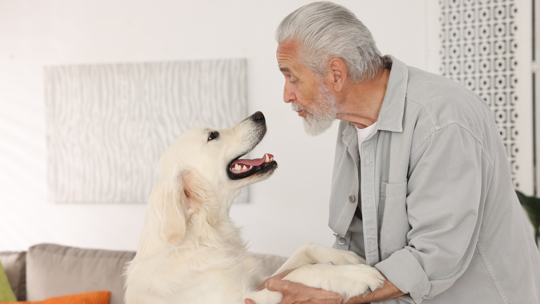 Un hombre juega con su perro