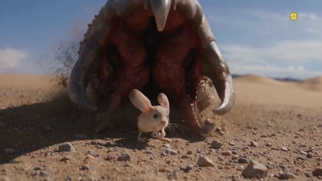El gusano de la muerte del desierto del Gobi, a análisis el domingo en 'Cuarto milenio'