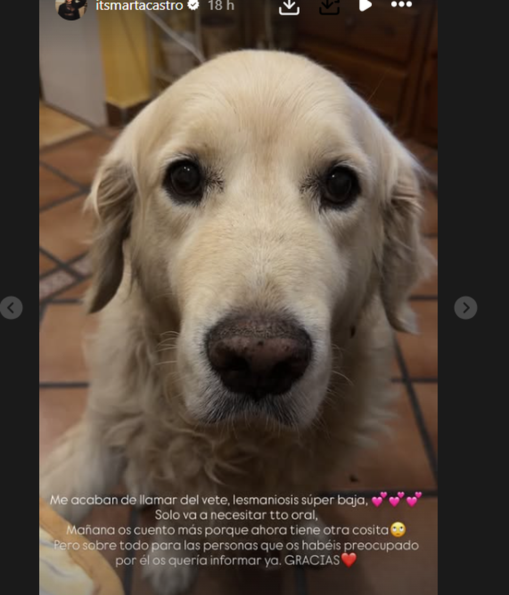 La enfermedad del perro de Marta Castro