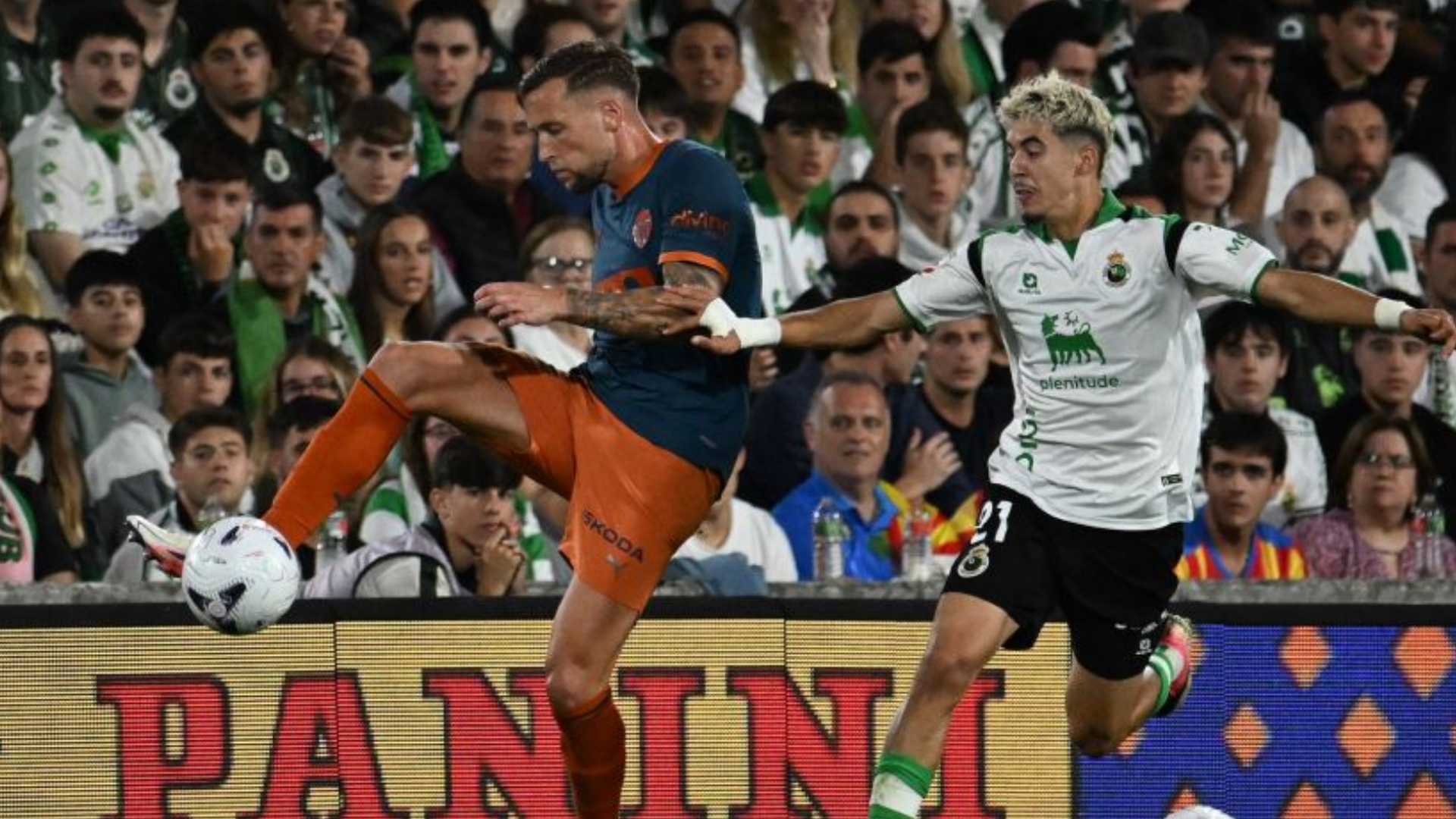 De Haas ante Zabiri