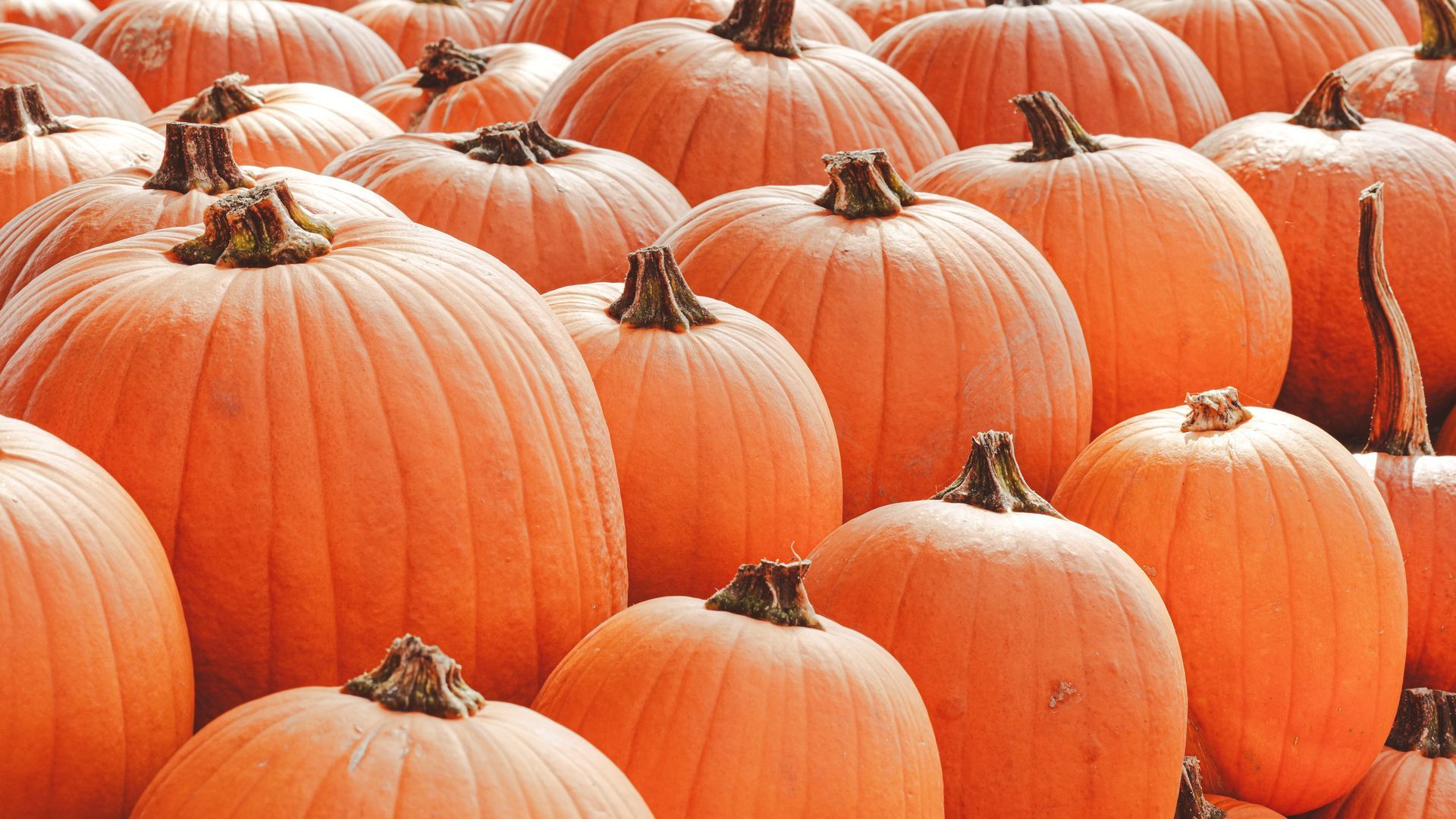 Calabazas