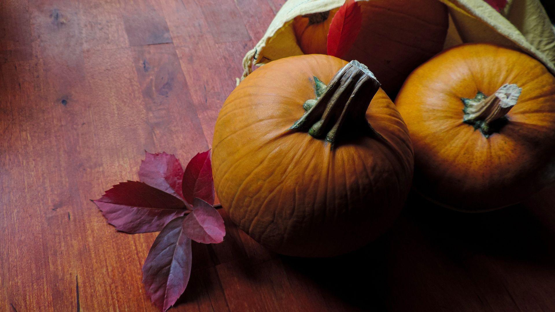 Samhain, en Irlanda