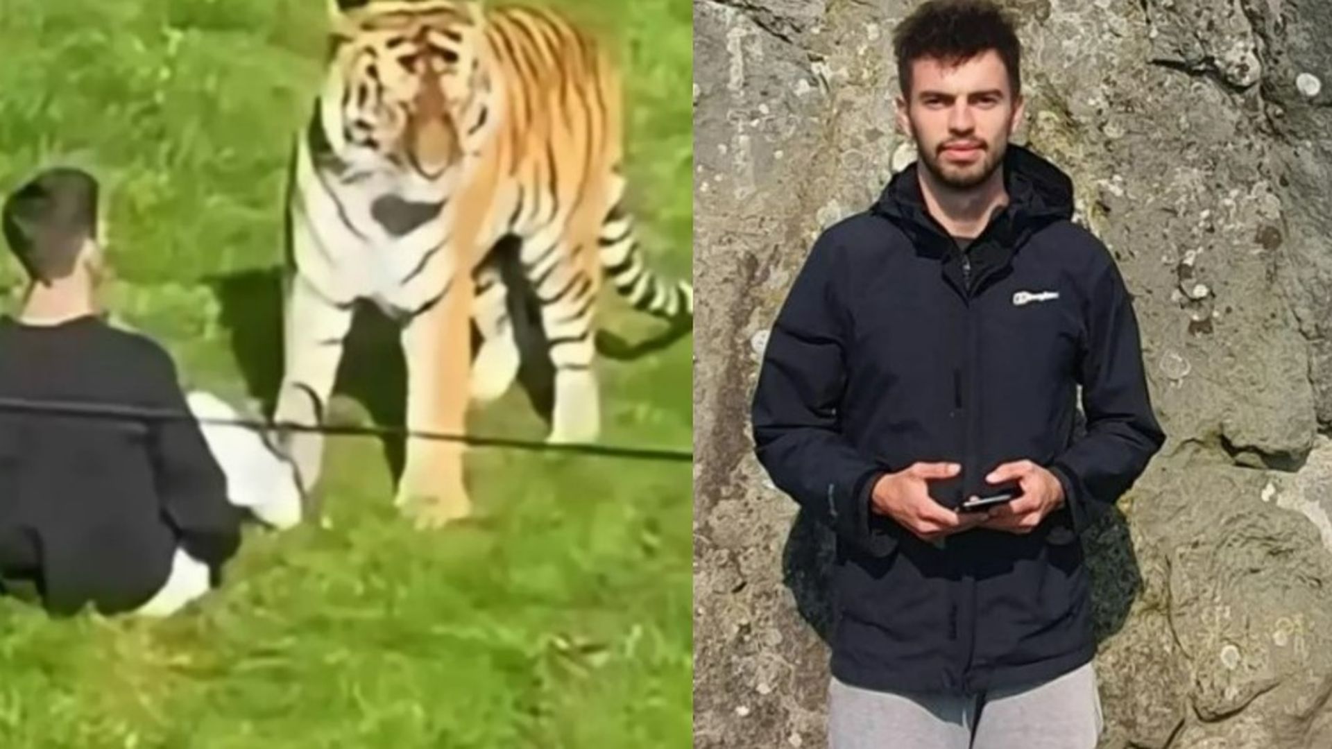 William Chapman murió atacado por un tigre tras entrar en su recinto en Reino Unido William Chapman murió atacado por un tigre tras entrar en su recinto en Reino Unido