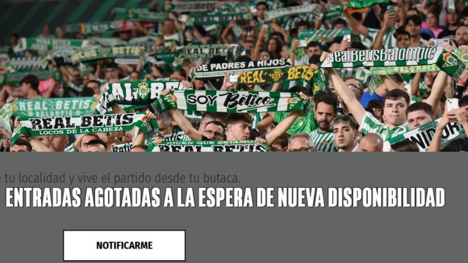 Aficionados del Betis y entradas agotadas ayer en la web del club Aficionados del Betis y entradas agotadas ayer en la web del club