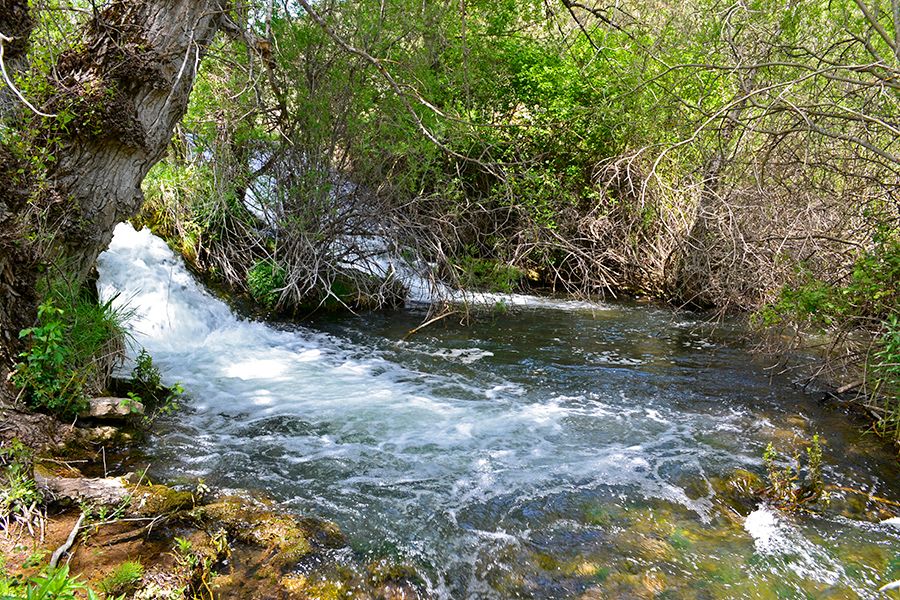 Caz de la Herrería, en Huerta del Marquesado
