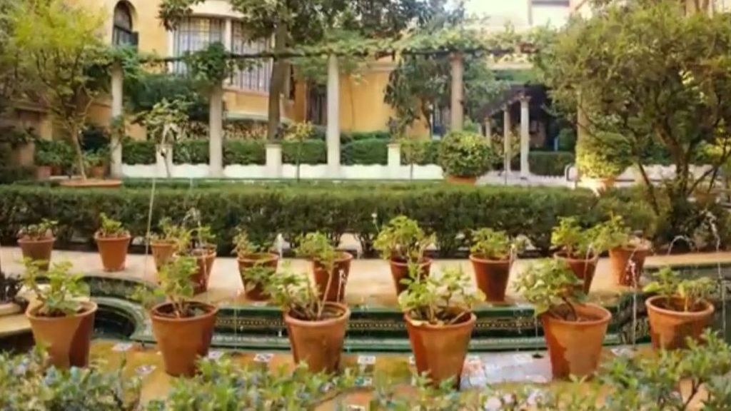 El Museo Sorolla vuelve a abrir sus puertas con la exposición 'Tras la casa del artista': así ha sido la ampliación