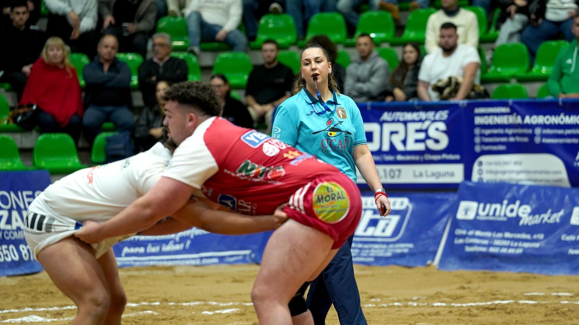 Un combate de lucha canaria