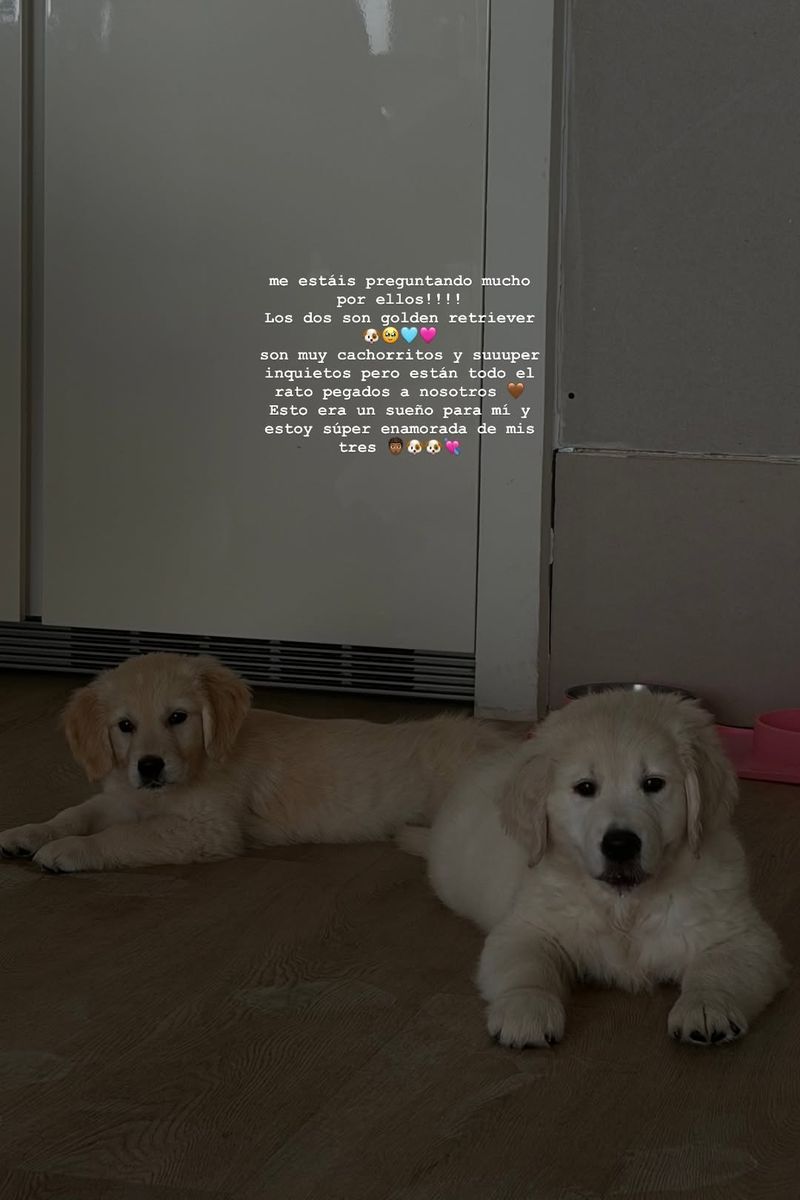 Inés García reconoce que la llegada de los cachorros ha sido un "sueño" para ella