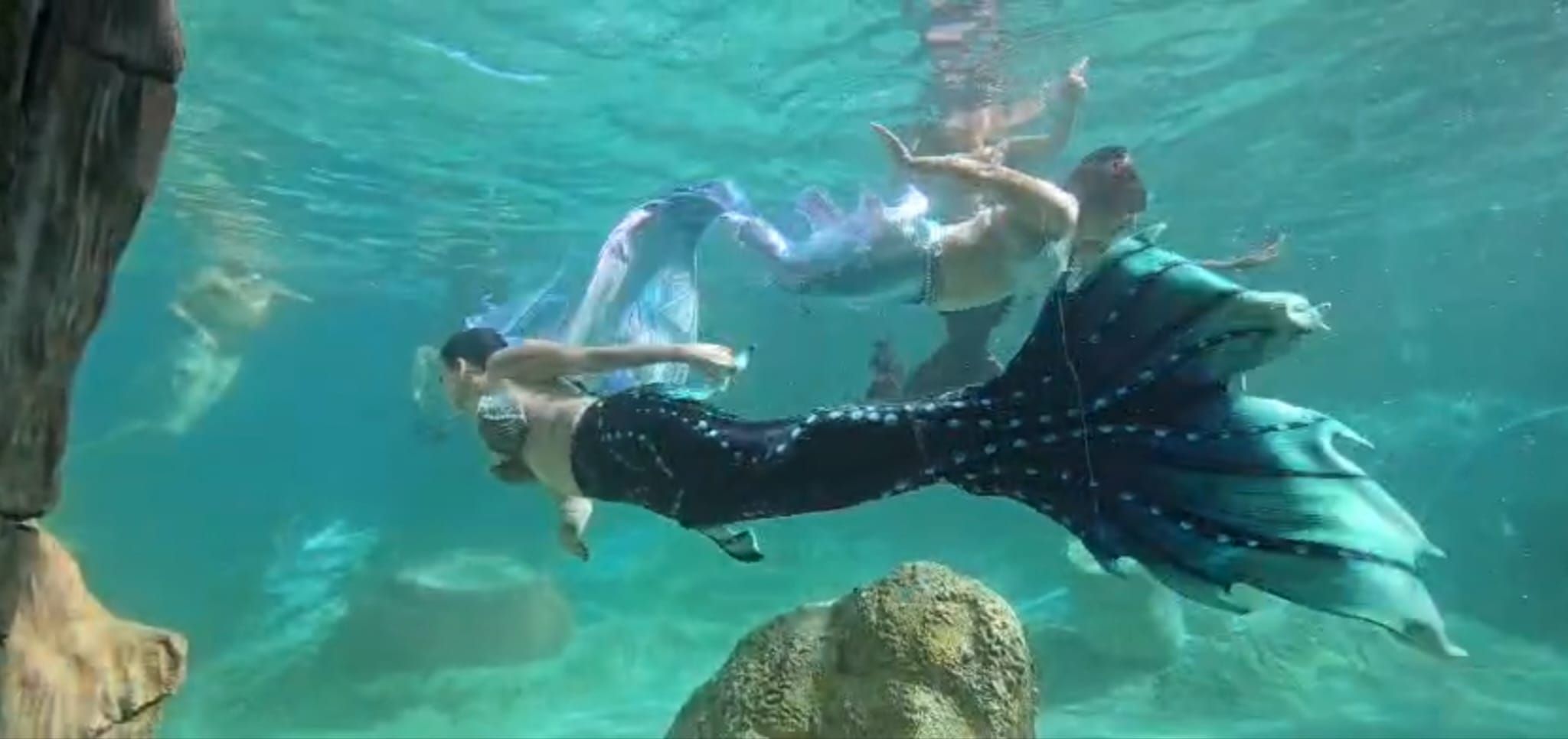 Sirenas en Aquanatura, Benidorm