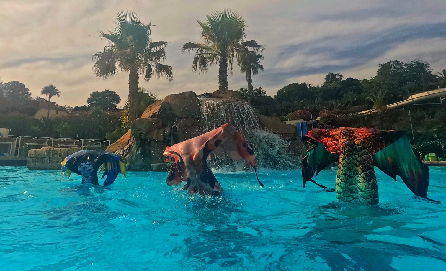 Tres colas de sirena en AquaNatura, durante la Convención Internacional de Sirenas y Tritones