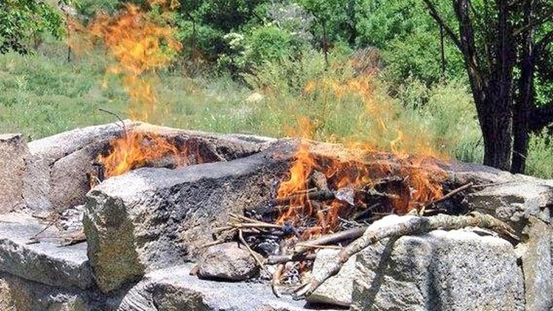 Andalucía levanta la prohibición de hacer barbacoas en el campo al finalizar el periodo de alto riesgo de incendios forestales Andalucía levanta la prohibición de hacer barbacoas en el campo al finalizar el periodo de alto riesgo de incendios forestales