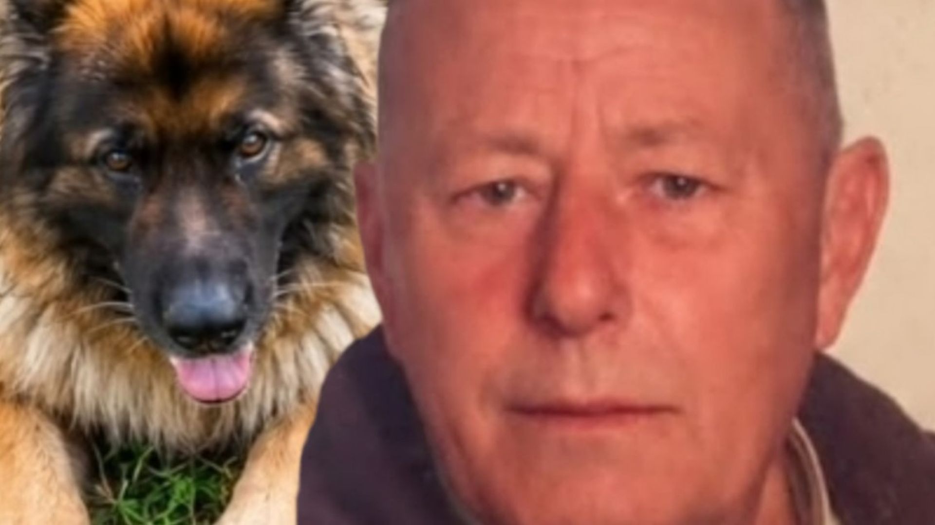 Salvador Martín y Tronky, la perra que lo acompañaba cuando se perdió su rastro y que ha aparecido hoy con vida Salvador Martín y Tronky, la perra que lo acompañaba cuando se perdió su rastro y que ha aparecido hoy con vida