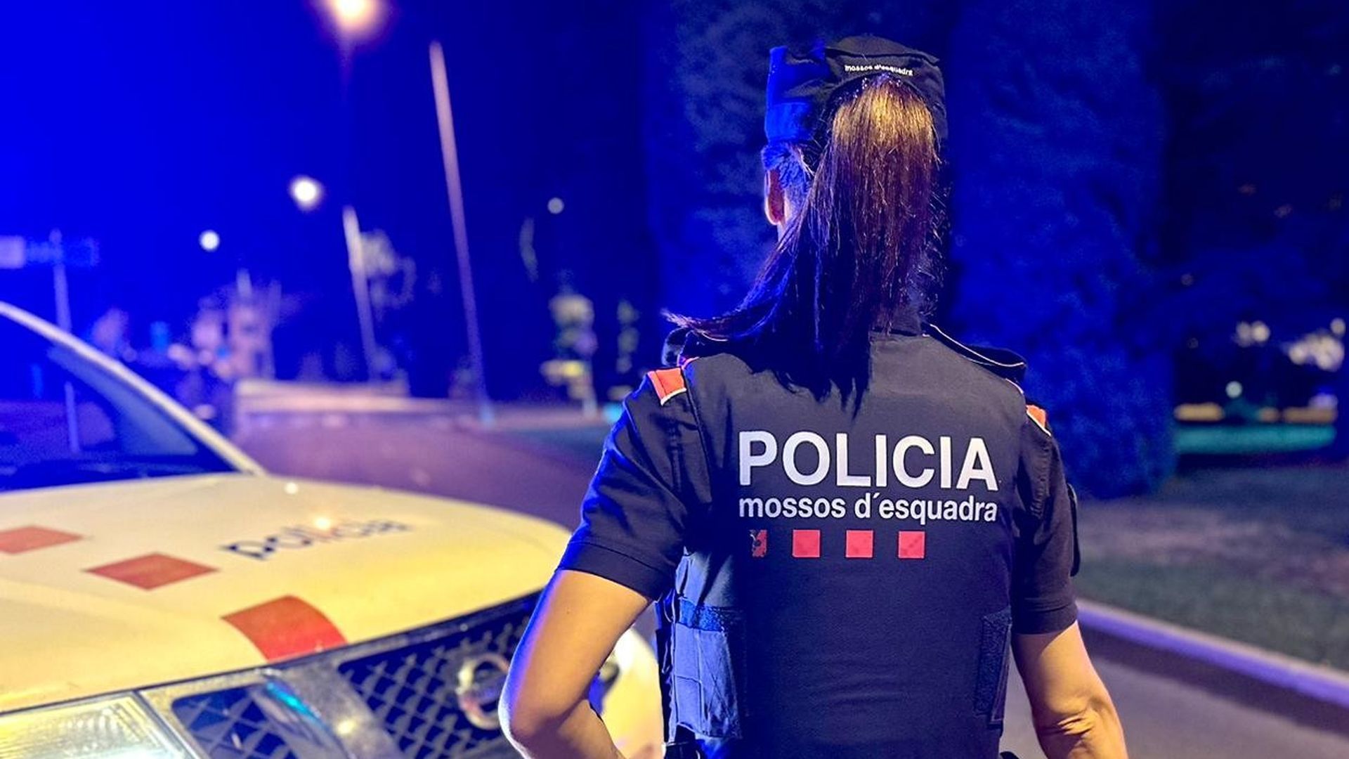 Agente Agente