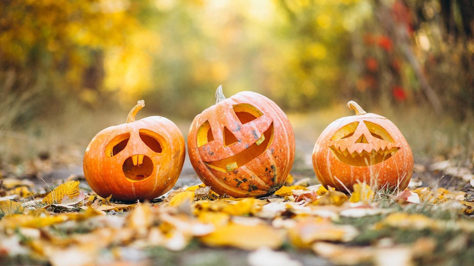 Imagen de archivo de Halloween