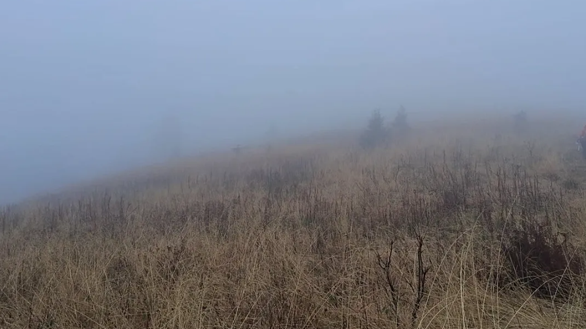 Una madre deja a sus 2 hijos solos en una montaña de Polonia entre la niebla para lograr la cima en su excursión: "Oímos un llanto desgarrador" Una madre deja a sus 2 hijos solos en una montaña de Polonia entre la niebla para lograr la cima en su excursión: "Oímos un llanto desgarrador"