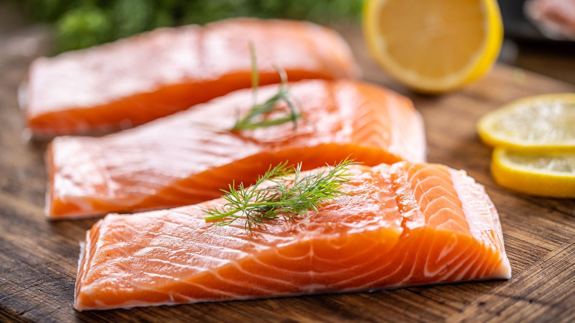 Salmón Salmón