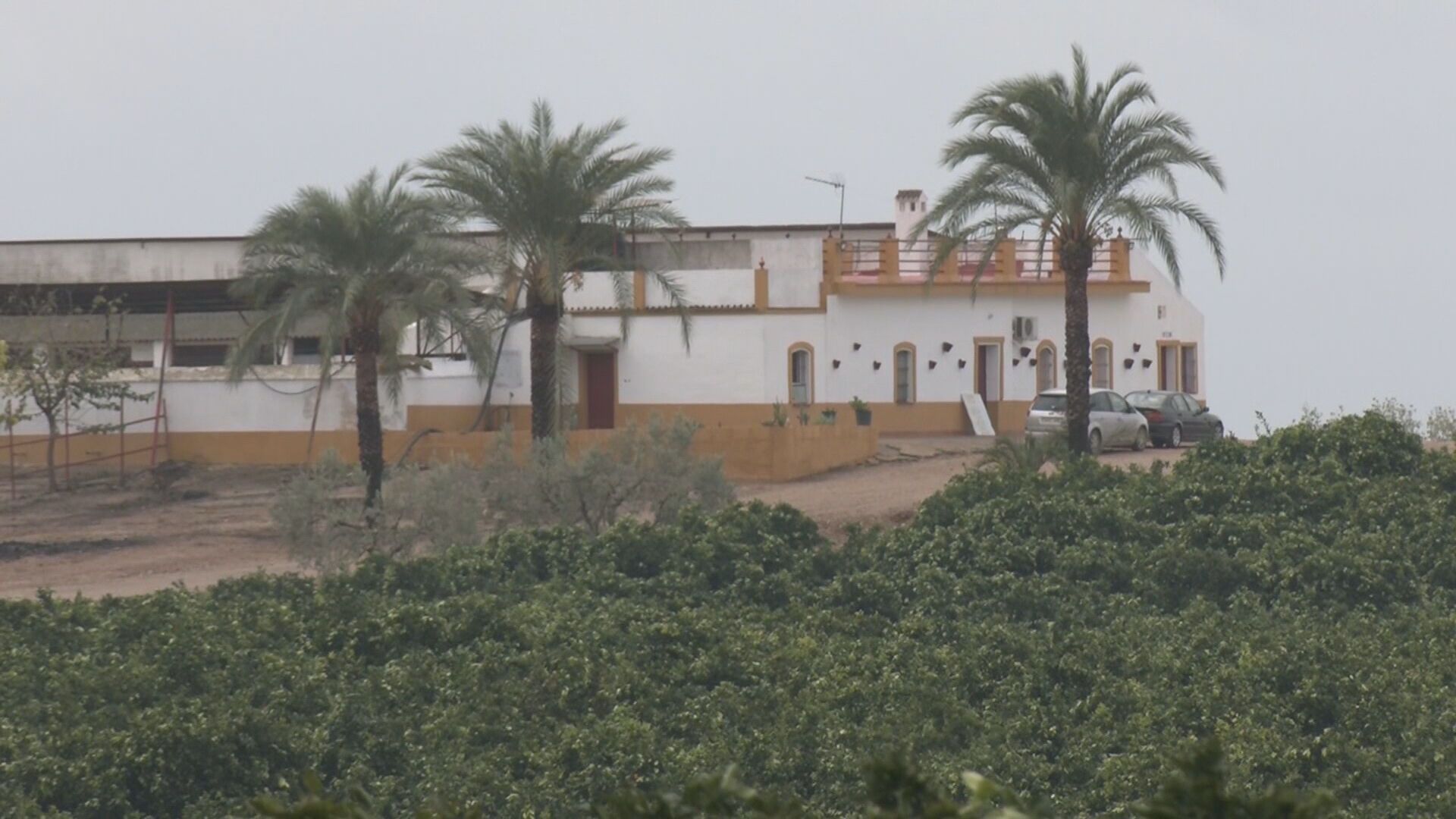 Un juzgado cita a Eugenia Martínez de Irujo tras una denuncia de la Fiscalía por pozos en Doñana Un juzgado cita a Eugenia Martínez de Irujo tras una denuncia de la Fiscalía por pozos en Doñana